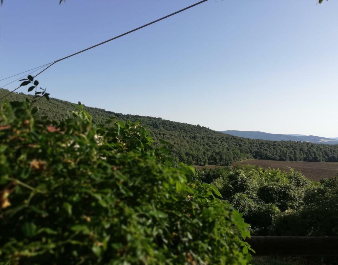 Il Fienile Nella Roccia Pensionat Casole dʼElsa Exteriör bild