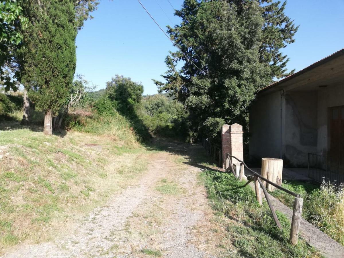 Il Fienile Nella Roccia Pensionat Casole dʼElsa Exteriör bild