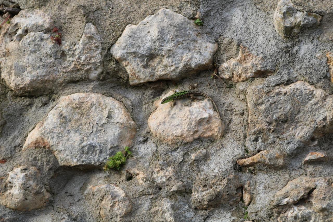 Il Fienile Nella Roccia Pensionat Casole dʼElsa Exteriör bild